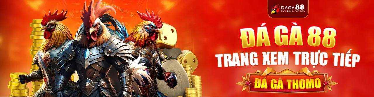 Tổng quan các chương trình khuyến mãi FSbet 2026